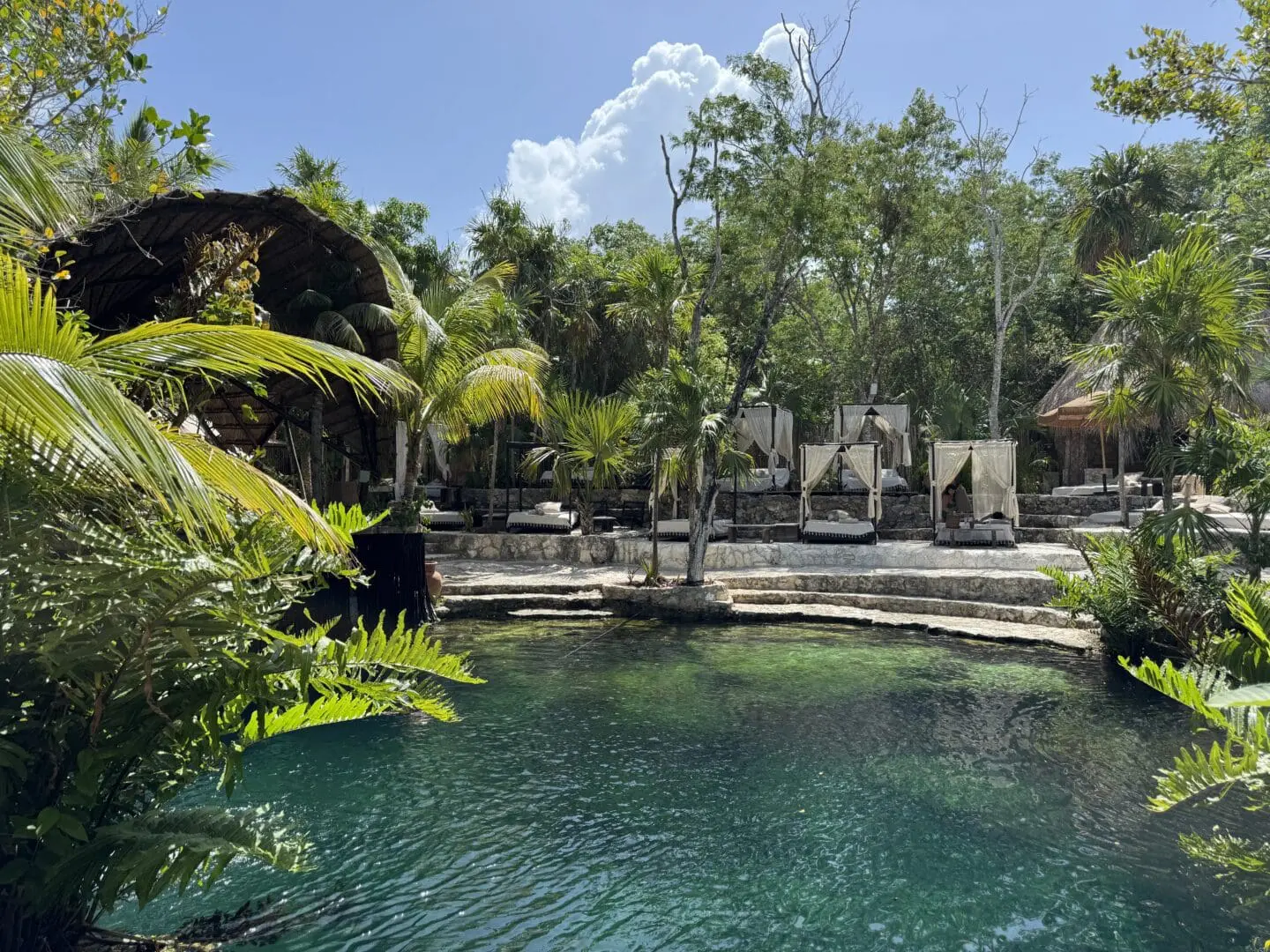 Vesica Cenote Day Club