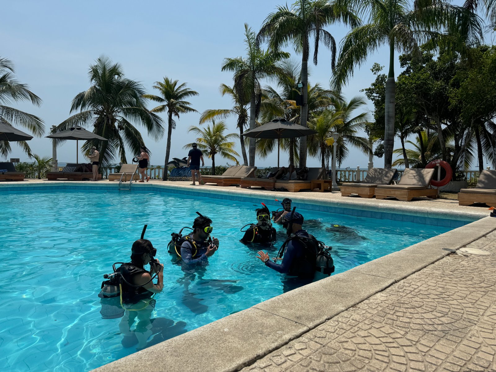 Discovery Dive Isla Grande