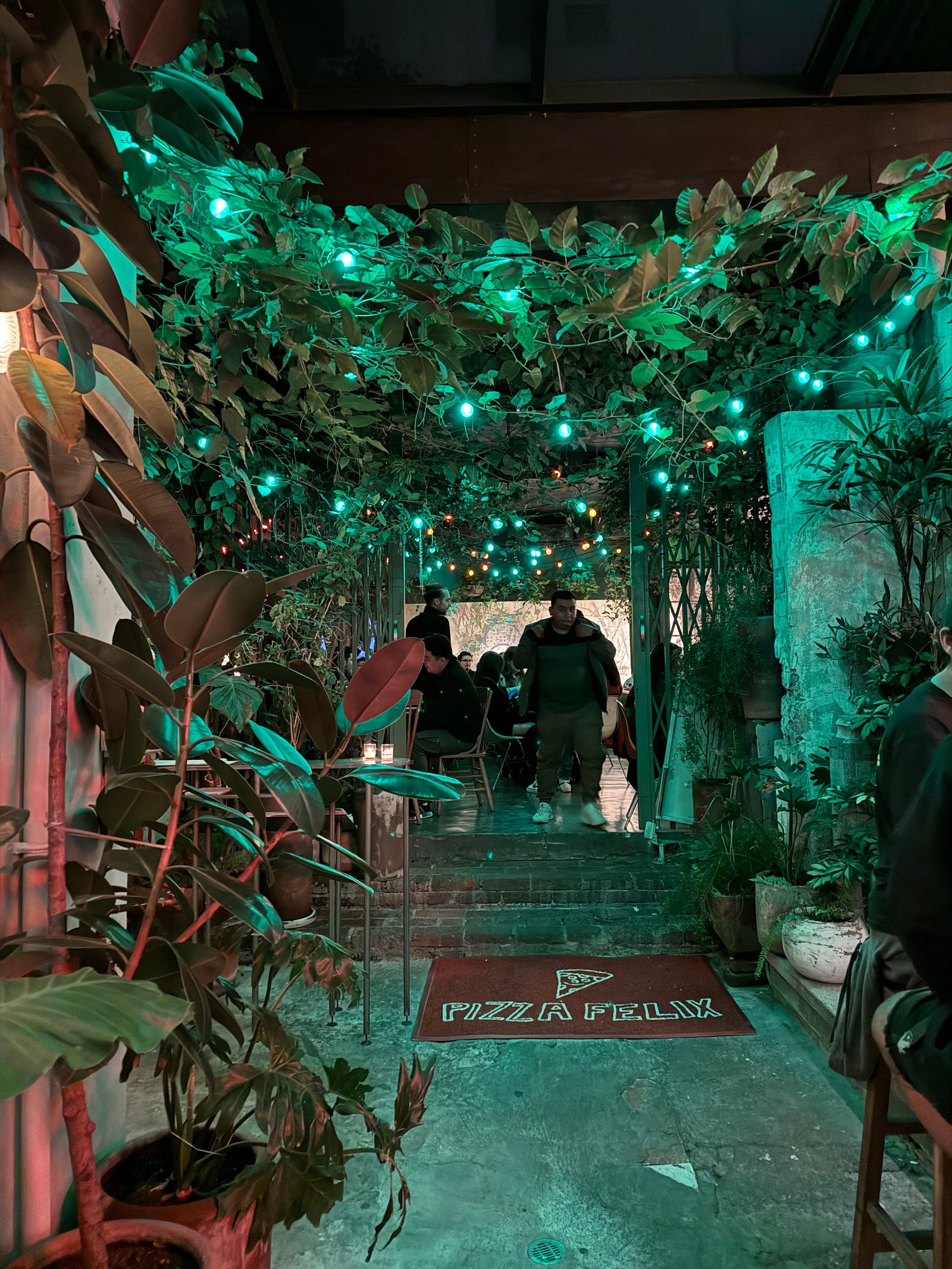 Bar Felix Mexico City