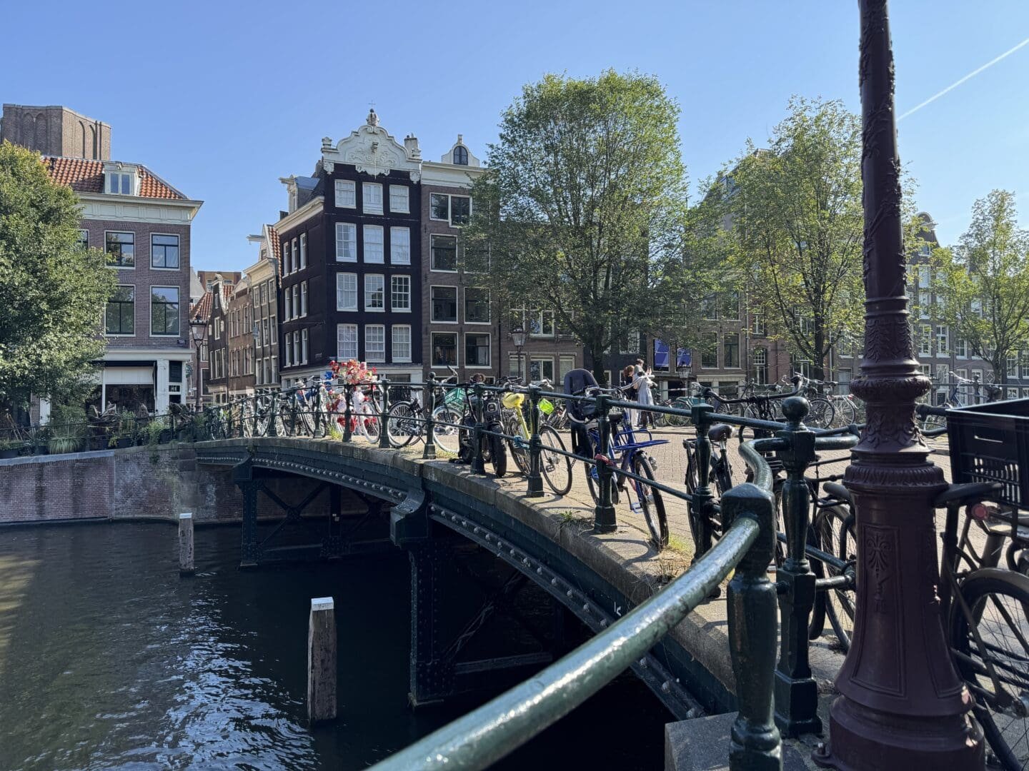 layover in amsterdam