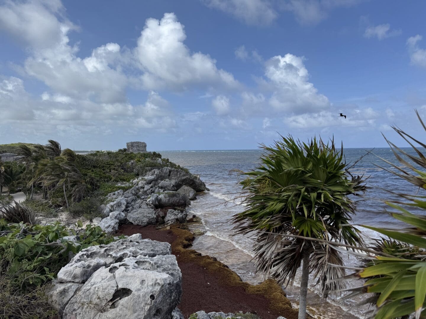 Ultimate Tulum Travel Guide 2025: What to Do, Eat & See