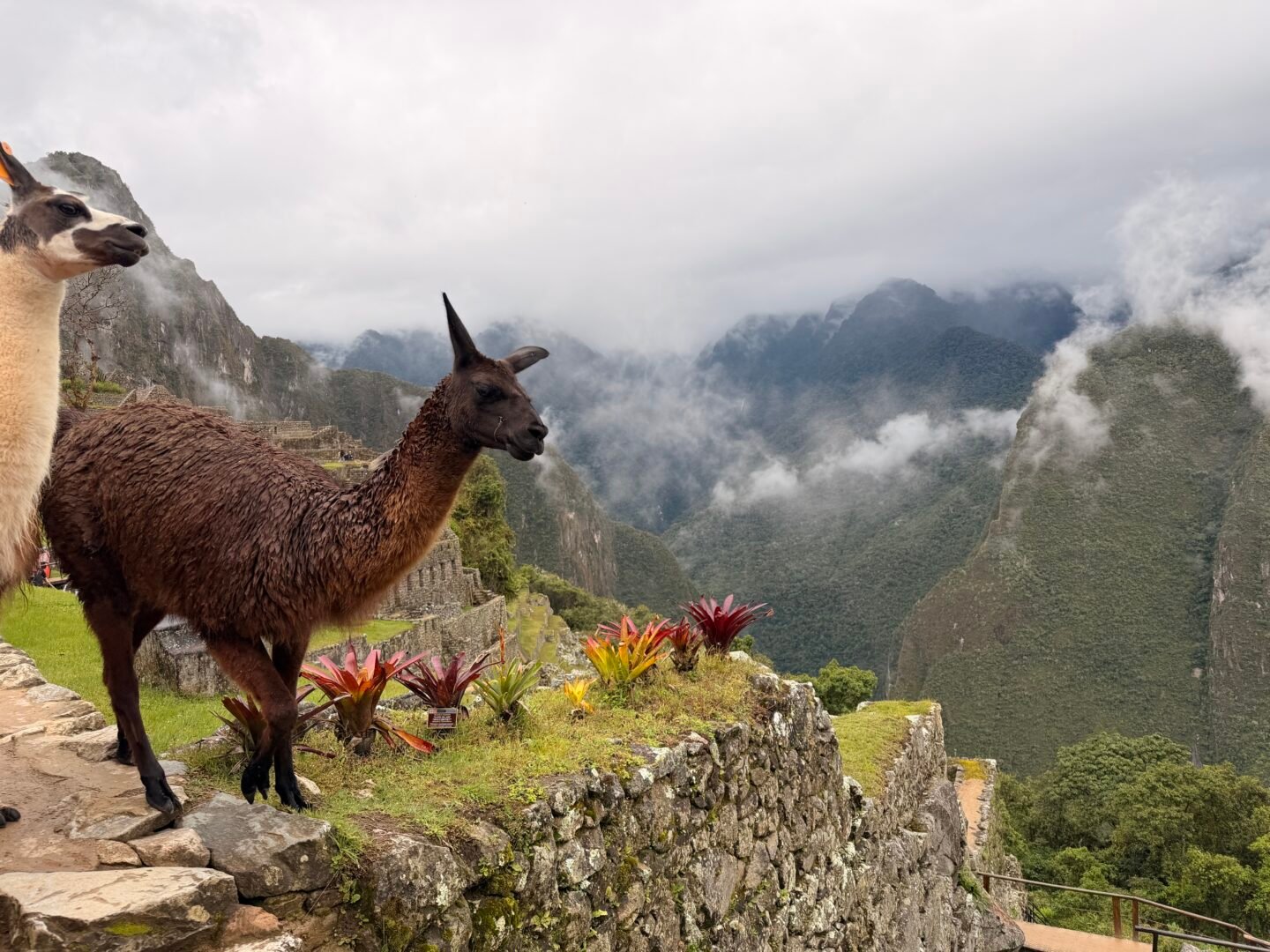 Machu Picchu during the rainy season