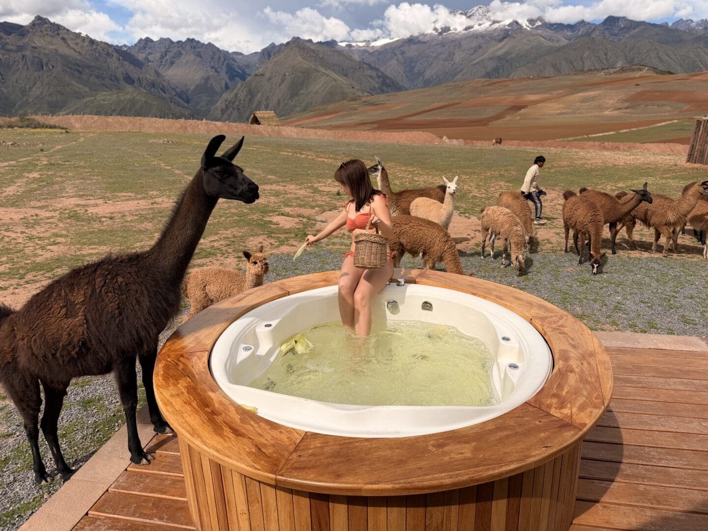 Mountain View Experience Hotel